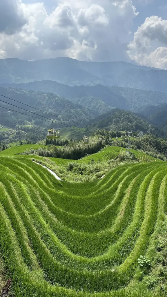 Terrazas de arroz verdes con un teleférico al fondo, en Longji