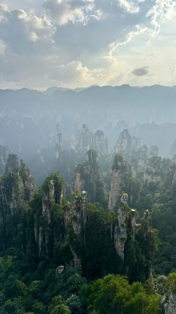 Columnas de arenisca cubiertas de vegetación en el parque forestal de Zhangjiajie