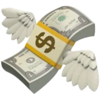 emoji-money-flying_viajando_con_aitor